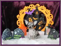 processed/66403568-45eb-4c40-883f-cbda3b5a5967/facility/fbf79e07-878b-4eb2-beac-a79cd645ce1f