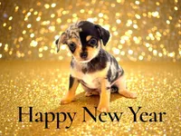 processed/66403568-45eb-4c40-883f-cbda3b5a5967/listing/4dd6f8df-5bda-44de-a67a-b2a5b101bb2a/66fb012e-b656-48f5-b49f-c3743f30b566