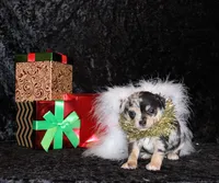 processed/66403568-45eb-4c40-883f-cbda3b5a5967/listing/4dd6f8df-5bda-44de-a67a-b2a5b101bb2a/6a62f91d-3a47-45bc-bc43-b485d4f087ab