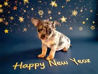 processed/66403568-45eb-4c40-883f-cbda3b5a5967/listing/5530d844-1be8-4006-ba4b-bcf38cbde8bb/51a2931d-c932-4c7a-a116-a7749529c27d