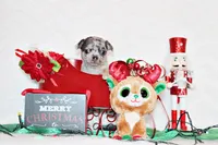 processed/66403568-45eb-4c40-883f-cbda3b5a5967/listing/5530d844-1be8-4006-ba4b-bcf38cbde8bb/b07d6b8a-b76f-48b6-8cc0-464dc9ac9cf2