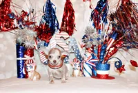 Dodi, a female Chihuahua for sale in Charleston, AR – 4 of 5