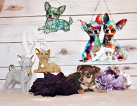 Gossett, a male Chihuahua for sale in Charleston, AR – 1 of 2