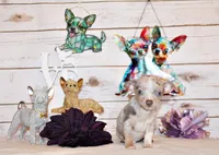 Blakely, a male Chihuahua for sale in Charleston, AR – 1 of 4