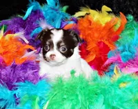 processed/66403568-45eb-4c40-883f-cbda3b5a5967/listing/b879032d-99fb-4eba-96e5-d519f6da0a27/7409e27a-41ee-4bee-bb09-83f3881c6d82