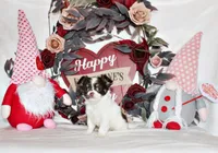 processed/66403568-45eb-4c40-883f-cbda3b5a5967/listing/b879032d-99fb-4eba-96e5-d519f6da0a27/eaf7718e-5f71-4e50-a363-380946d50ff9