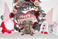 Frankie, a female Chihuahua for sale in Charleston, AR – Photo 1 of 3