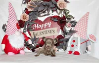 processed/66403568-45eb-4c40-883f-cbda3b5a5967/listing/da919dc1-6e78-46fc-9a61-1f8a09c88069/561c143a-2858-46ee-8620-122cc4d791b1