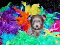 processed/66403568-45eb-4c40-883f-cbda3b5a5967/listing/da919dc1-6e78-46fc-9a61-1f8a09c88069/82cd59b2-cd14-4111-90d8-e2d3b5bb5427