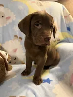 processed/66447560-d088-4809-98d9-eac5433f65bb/listing/cbae1032-2f8a-49ee-96d2-f8c7b4bebb87/398cfe02-c331-483f-89a4-af60c8bbdce6