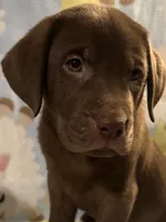 processed/66447560-d088-4809-98d9-eac5433f65bb/listing/cbae1032-2f8a-49ee-96d2-f8c7b4bebb87/4e49c9e1-efa8-48bc-a6c4-86574253e51d