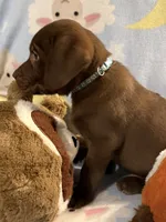 processed/66447560-d088-4809-98d9-eac5433f65bb/listing/cbae1032-2f8a-49ee-96d2-f8c7b4bebb87/93769bab-7540-4c53-8565-abfbc2d04f6f