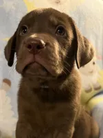 processed/66447560-d088-4809-98d9-eac5433f65bb/listing/cbae1032-2f8a-49ee-96d2-f8c7b4bebb87/9e486485-2b13-4af7-b1d7-ece40ca82529