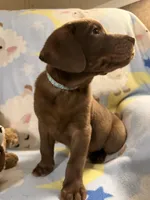 processed/66447560-d088-4809-98d9-eac5433f65bb/listing/cbae1032-2f8a-49ee-96d2-f8c7b4bebb87/dd97794a-130a-4955-9ef2-bfb4a0d5a217