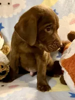 processed/66447560-d088-4809-98d9-eac5433f65bb/listing/cbae1032-2f8a-49ee-96d2-f8c7b4bebb87/f9285ceb-b1d8-4214-845a-d18067a264d8