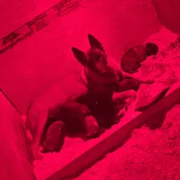 processed/664afbf1-817d-484e-9b9c-b82c2437e372/facility/675fbe40-f7b7-43ac-b032-f93b95cbaa95