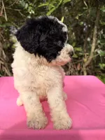 processed/664d43aa-08d0-476a-bd1b-316d98d71ac7/listing/67414226-451b-4a0f-938d-b33efab614d1/6d2742f4-901d-494e-87ac-9589e4c8adfd