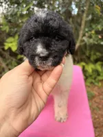 processed/664d43aa-08d0-476a-bd1b-316d98d71ac7/listing/9414d1e7-316f-4887-8751-8fecae01532e/6573436c-038c-468e-9cd0-62273aaec80e