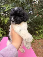 processed/664d43aa-08d0-476a-bd1b-316d98d71ac7/listing/9414d1e7-316f-4887-8751-8fecae01532e/f1c5735a-79f0-48b0-81eb-405f4f28820a