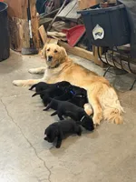 Facility photo