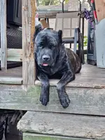 processed/6656df10-698b-4a95-8aa0-f932cfd7187a/listing/a3d4e49c-2740-4840-a2b3-e5884a20c0b2/ac25c3ee-e248-4c4f-8ab1-f9332046523e