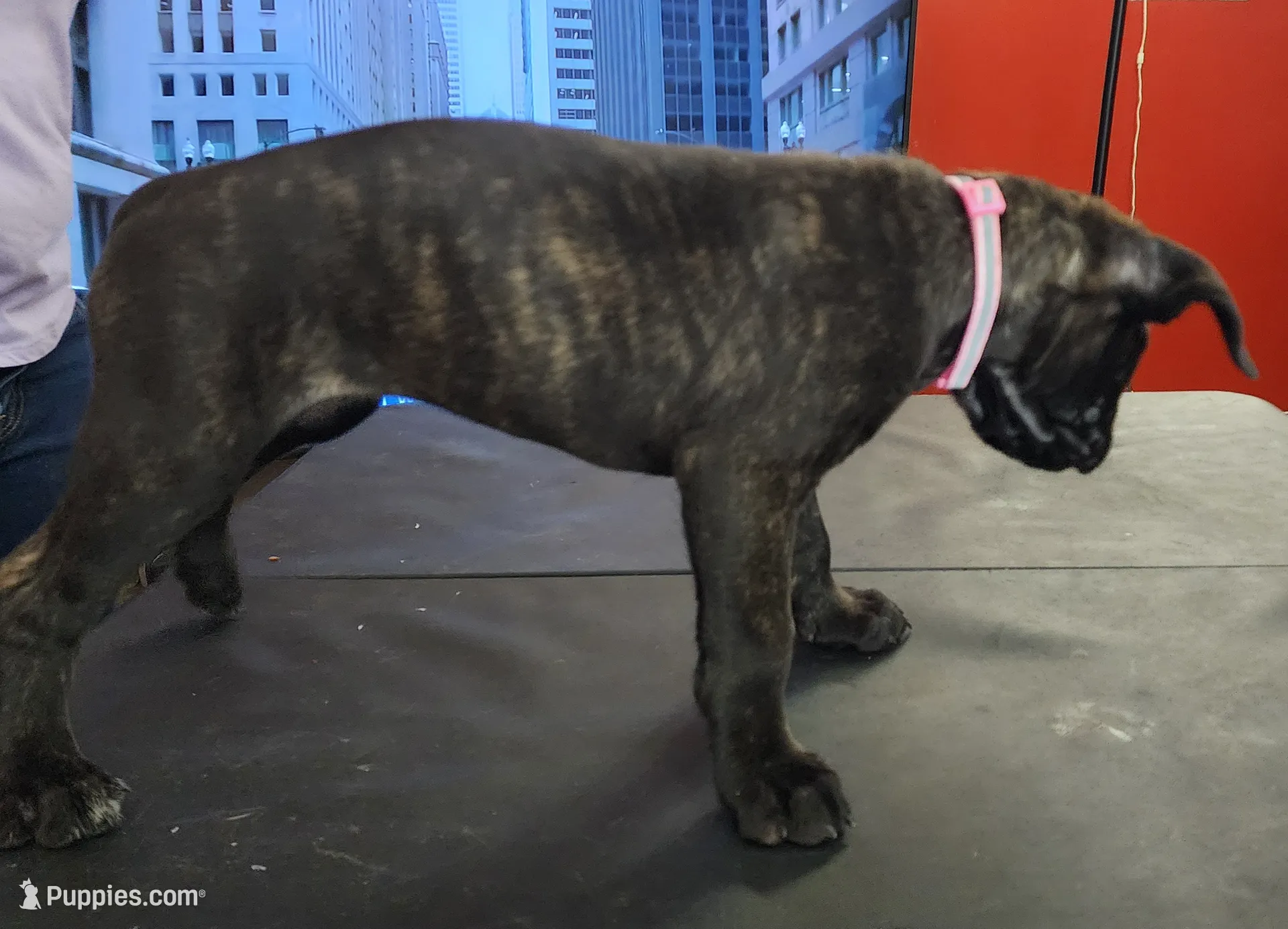 processed/6656df10-698b-4a95-8aa0-f932cfd7187a/listing/a3d4e49c-2740-4840-a2b3-e5884a20c0b2/da0993e6-040d-4028-82a5-efb6f6ea9203