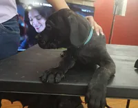 processed/6656df10-698b-4a95-8aa0-f932cfd7187a/listing/afcd94d3-af31-4d2a-884a-8b95747ff97b/54579efc-abea-4d3e-9019-d1cef0e07898