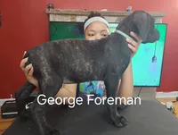 processed/6656df10-698b-4a95-8aa0-f932cfd7187a/listing/afcd94d3-af31-4d2a-884a-8b95747ff97b/94f99aa3-c16e-483c-92c9-a60e05bc3624