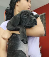 processed/6656df10-698b-4a95-8aa0-f932cfd7187a/listing/afcd94d3-af31-4d2a-884a-8b95747ff97b/a91bac6a-cdff-44a6-8082-61c891416801