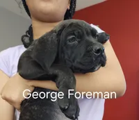 processed/6656df10-698b-4a95-8aa0-f932cfd7187a/listing/afcd94d3-af31-4d2a-884a-8b95747ff97b/cecac0db-330a-4166-859c-d8d1d770ea87