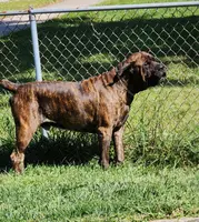 processed/6656df10-698b-4a95-8aa0-f932cfd7187a/listing/b10ea3a0-399f-4280-906a-a0dcba8620dd/02075cd6-143d-4484-9773-06dd43014e53