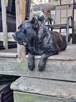 processed/6656df10-698b-4a95-8aa0-f932cfd7187a/listing/b4e90371-51bb-4b01-b808-7c2cb3e3e15e/658e745a-81ad-44b9-bfa0-8774454a1c81