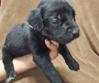 processed/6656df10-698b-4a95-8aa0-f932cfd7187a/listing/b4e90371-51bb-4b01-b808-7c2cb3e3e15e/73e23f45-1cde-43dd-8c5e-52556650a387