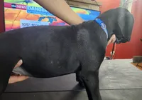 processed/6656df10-698b-4a95-8aa0-f932cfd7187a/listing/bef8563c-31f8-4a92-8d59-27ddd5b28370/3fb9a710-add1-4733-8c65-5b5255e8c5ae