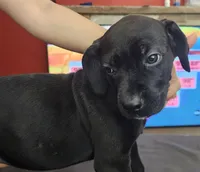 processed/6656df10-698b-4a95-8aa0-f932cfd7187a/listing/bef8563c-31f8-4a92-8d59-27ddd5b28370/b9d4d681-dd79-45c9-bd66-b93982f55689