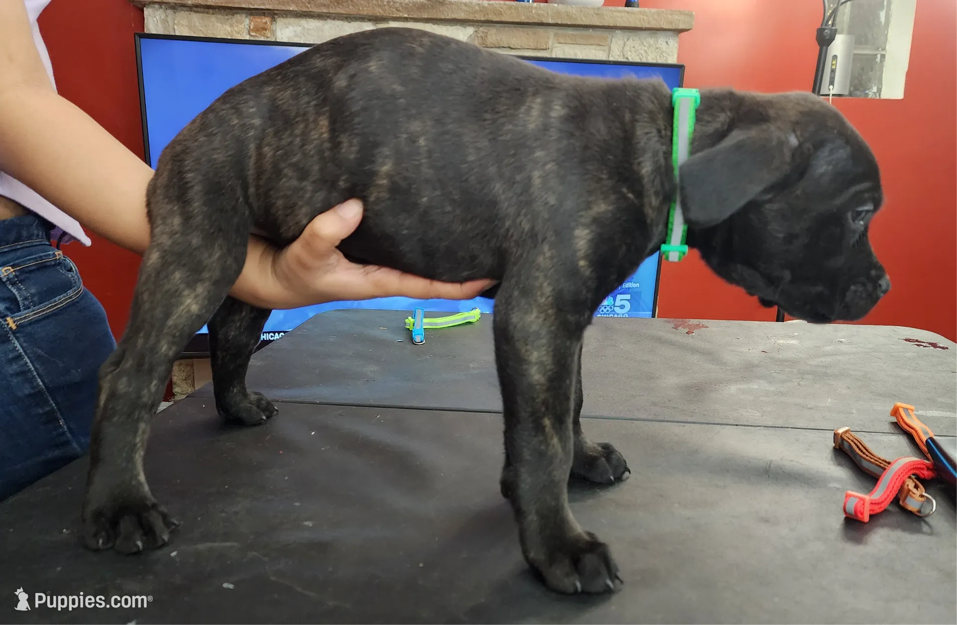 processed/6656df10-698b-4a95-8aa0-f932cfd7187a/listing/cae6453c-af2b-425e-abf6-02a26b23054c/6dd79493-72bc-4c9a-b349-bb837507c1a0