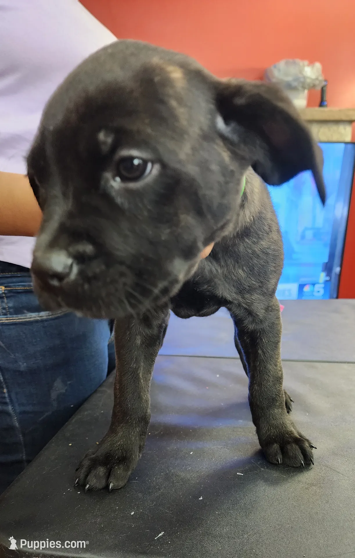 processed/6656df10-698b-4a95-8aa0-f932cfd7187a/listing/cae6453c-af2b-425e-abf6-02a26b23054c/969715c2-3be5-4a33-9b94-d1efaade346f