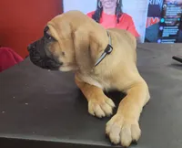 processed/6656df10-698b-4a95-8aa0-f932cfd7187a/listing/cf2f8a0a-6c0d-4a6b-9857-ca43d86b775c/3c452d67-e828-4903-9535-a1f3822ec208