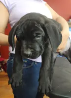 processed/6656df10-698b-4a95-8aa0-f932cfd7187a/listing/ebc4cba6-d70b-4cfc-ae9d-b9731f833d07/446be1b8-ce70-428d-97ca-3de504c94ae0