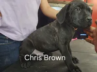 processed/6656df10-698b-4a95-8aa0-f932cfd7187a/listing/ebc4cba6-d70b-4cfc-ae9d-b9731f833d07/cc2bd7f2-32dc-4843-9c0f-6ae9d377d590