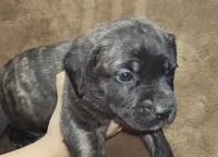 processed/6656df10-698b-4a95-8aa0-f932cfd7187a/listing/f764be27-47e9-4646-bfd2-ca90ad7b1688/7bb30344-22d3-40d5-9c7a-fae8bef5db93