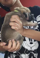 processed/6656df10-698b-4a95-8aa0-f932cfd7187a/listing/f764be27-47e9-4646-bfd2-ca90ad7b1688/8982af7a-7b6c-4fd3-b094-1e6f172f2620