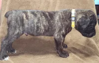 processed/6656df10-698b-4a95-8aa0-f932cfd7187a/listing/f764be27-47e9-4646-bfd2-ca90ad7b1688/b2353e2f-0342-40c1-a08a-c30f54dd7838