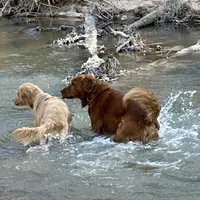 processed/66586197-02cf-415c-801e-23ae7f691918/facility/70388362-5981-41a0-ac79-a2d986b3164b