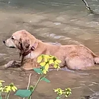 processed/66586197-02cf-415c-801e-23ae7f691918/facility/817dea16-b499-4f35-885e-4bd70f1273ea