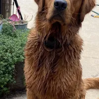 processed/66586197-02cf-415c-801e-23ae7f691918/facility/f8a90d45-c817-427e-b0e8-17dd17781c8b