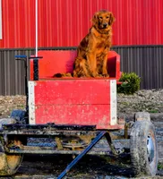 processed/665d348a-4b34-4753-8be0-1e23d7214fb1/listing/0782a3ea-a831-438f-95a4-54c39e3943f5/260d9a8e-1865-4996-b05e-3f79f56c7bfc