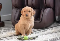 processed/665d348a-4b34-4753-8be0-1e23d7214fb1/listing/0782a3ea-a831-438f-95a4-54c39e3943f5/685d3b6c-be51-4373-bb89-0ddd494a10d8