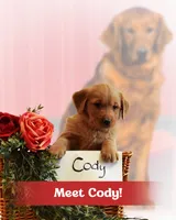 processed/665d348a-4b34-4753-8be0-1e23d7214fb1/listing/0782a3ea-a831-438f-95a4-54c39e3943f5/9ea17776-0264-49e7-9423-ec7c63f7ad2c