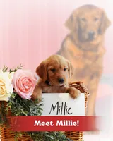 processed/665d348a-4b34-4753-8be0-1e23d7214fb1/listing/3c06db93-bcb2-43f6-9cb0-16baa30a2d66/978857f6-5f8f-4e16-b68f-c8e5ad9f0a49